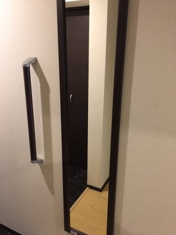 レオネクストコンフォールユウキのその他