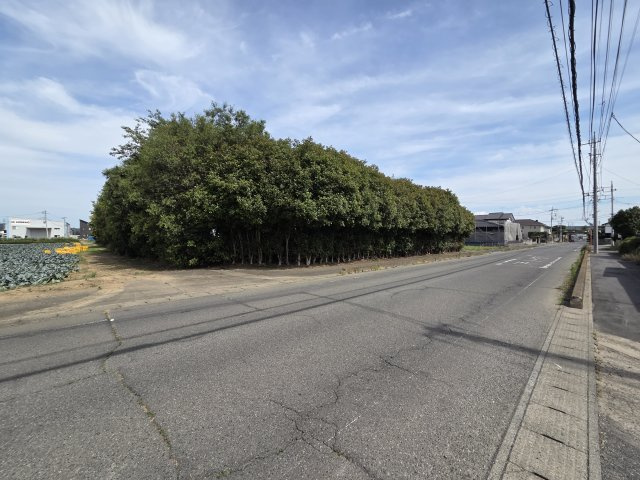太田市大原町　売地の前面道路含む現地写真|西側前面道路幅員約12.5ｍと広々！