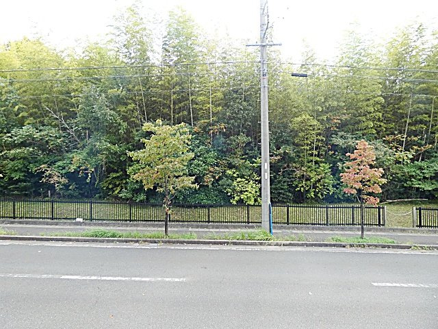 レージュ竹の山の展望