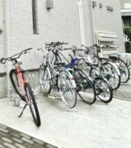 フィカーサいちょうの木
