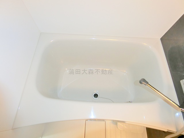 日興パレセゾン鵜の木の浴室