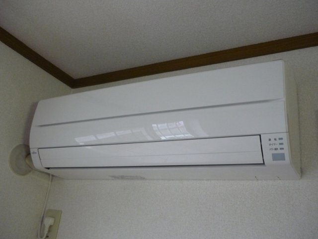 シャルマンミキのその他