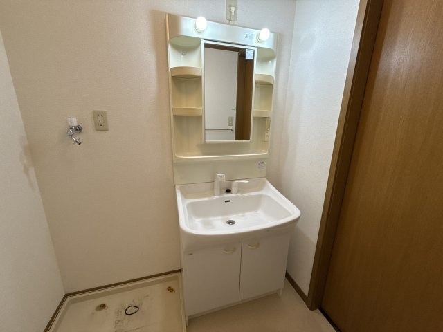 メゾン安田の洗面所