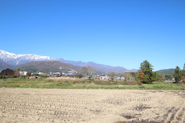 [ 土地 ] 蕨平大出の外観