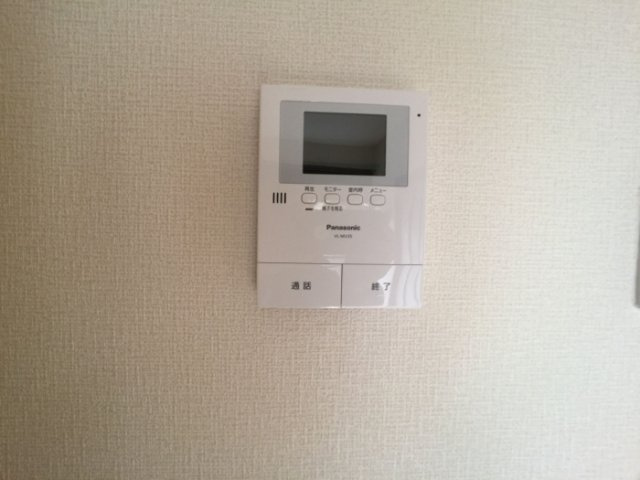 ヴェルドミール・レクスのセキュリティ