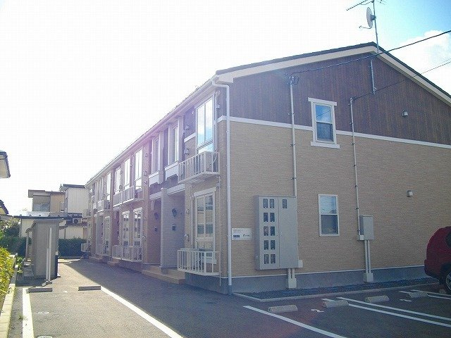 サウス　プリムローズ