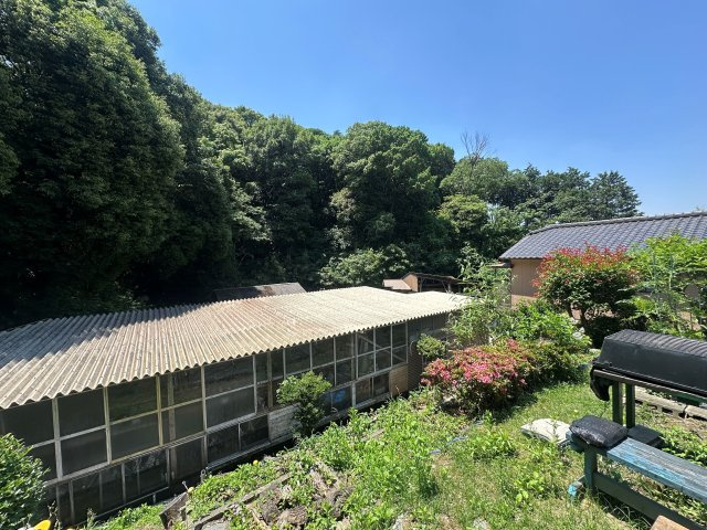 山川町戸建の庭