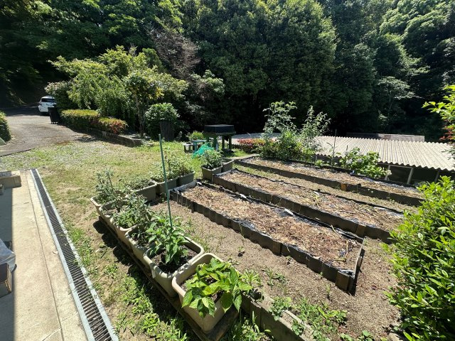 山川町戸建の庭