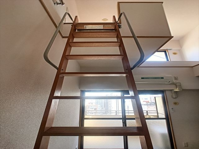 パピルスⅢのその他|その他