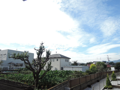 窓からの景色です
