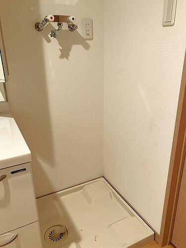 ダイアパレスアヴェニュー植物園の洗面所|洗濯機置場