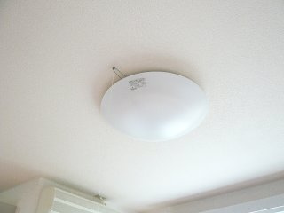 プルミエールのその他|照明