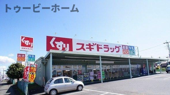 サニースポットの周辺|スギドラッグ 飯能店まで1100m
