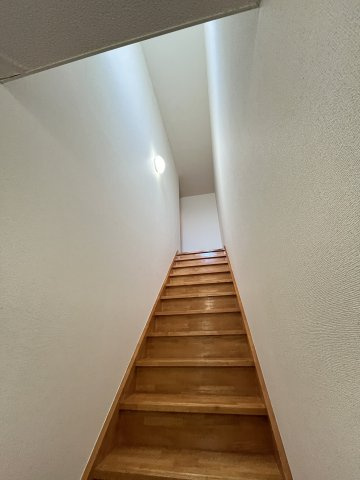 サンライト・パレスの内装