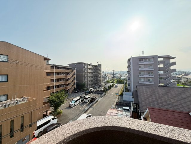 グレイスミシマの展望