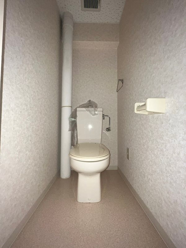 ハイネス生田のトイレ