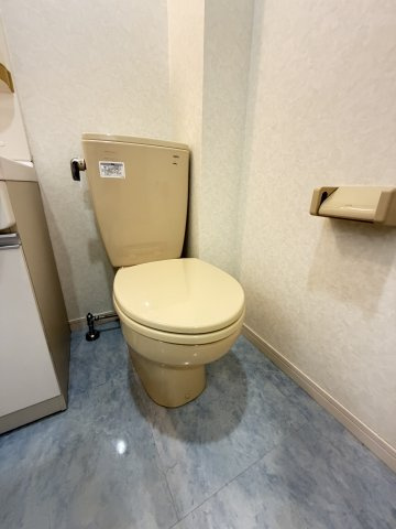 グレイスシャトー王子のトイレ