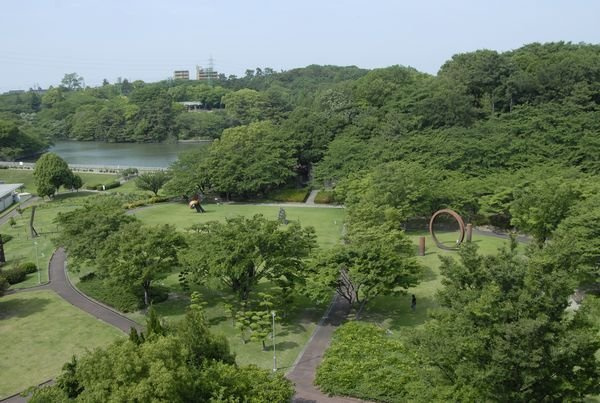 セネシオの周辺|大池公園まで450m