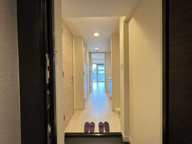 プレサンス心斎橋レヨンの玄関