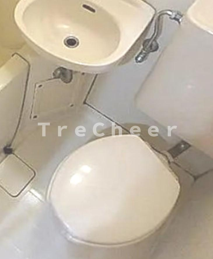 ドミールいなばのトイレ