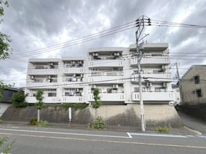 スターハイツ桜ヶ丘の画像