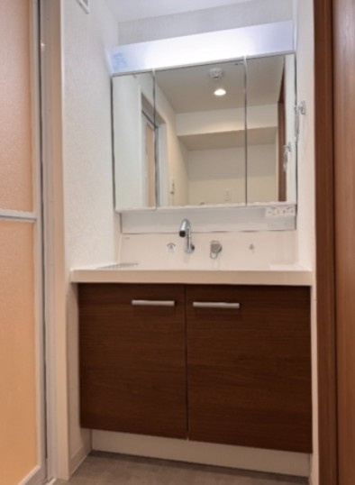 THE PALMS MUSE 新江古田の洗面所