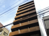 The-M 四谷の画像