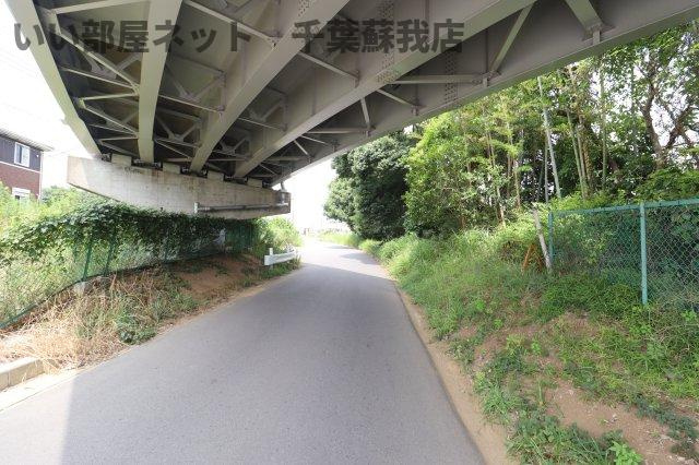 オリュザの周辺
