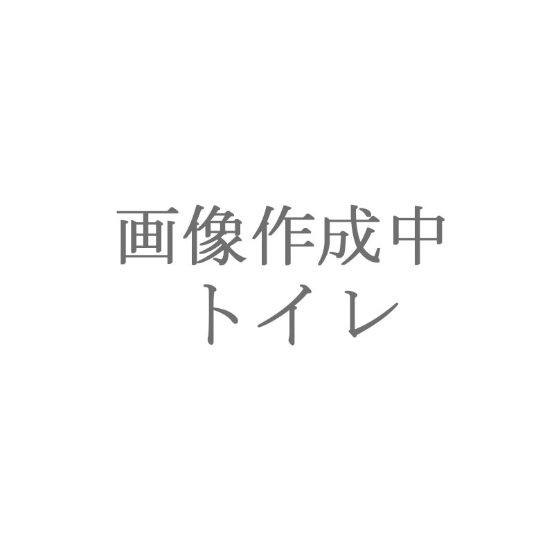 グリーンホームズ１のトイレ