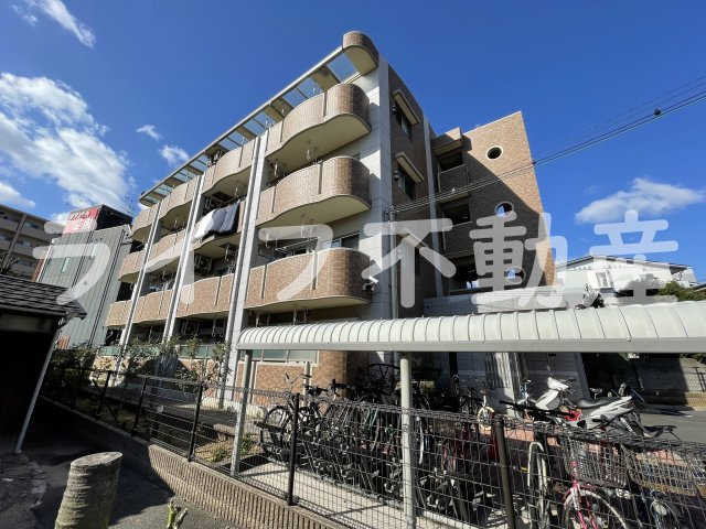 アプリコットこさか