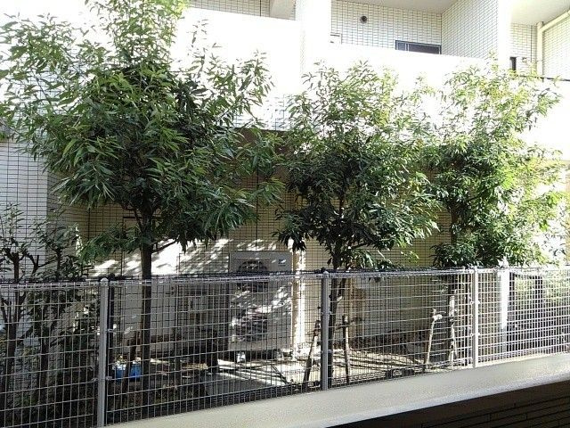 パラッツォ　プリートの展望