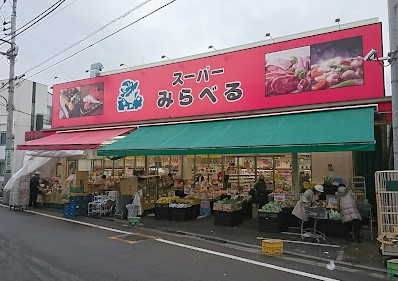 THE PALMS MUSE 新江古田の周辺
