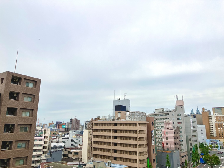 プレシャス川崎ブリシアコートの展望