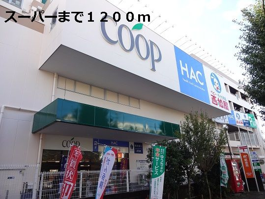 カーサ　デ　クラシオンのその他