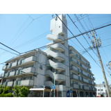 グローバル露橋の画像