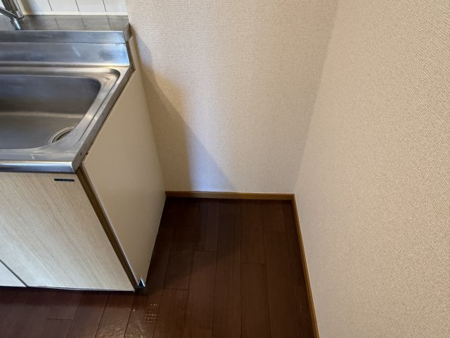 サンフラワーのその他