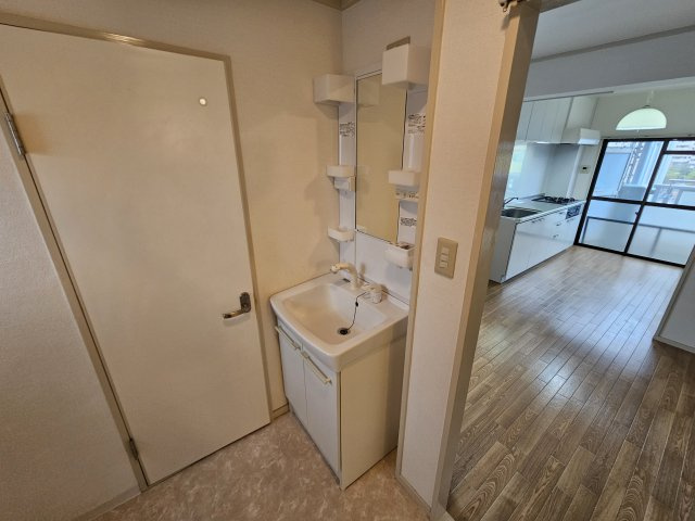 リアルティ大久保駅前の洗面所