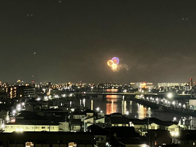 テーマパークの花火が見えます。
