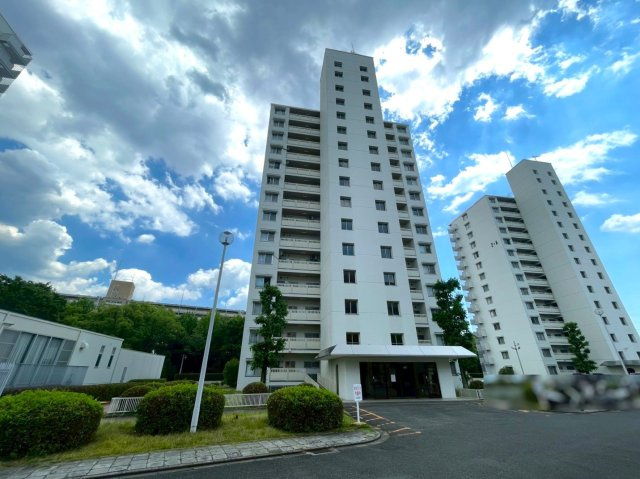 ◆２０２５年１２月リフォーム完了◆南向きバルコニー◆収納豊富◆向島ニュータウン２街区Ｂ棟