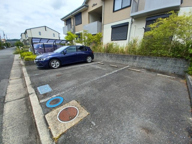 ブルーム光台