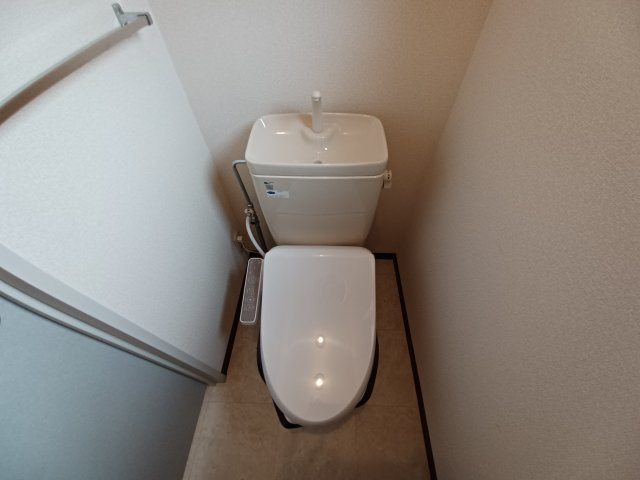 ブルーム光台
