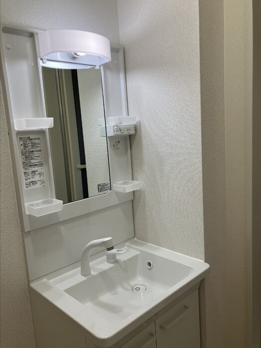 セジュールフレアC棟の洗面所