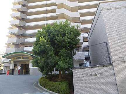 リブゼ温品のその他