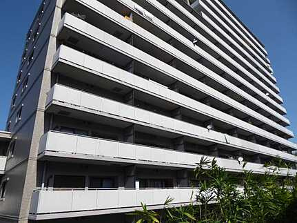 リブゼ温品の外観