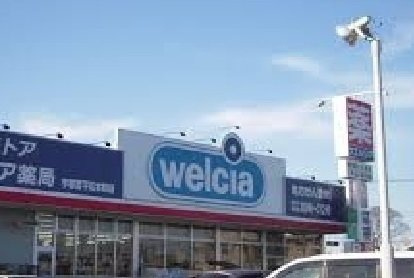 タカヴィレの周辺|ウェルシア呉竹町店まで600m