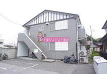 アルブルの画像