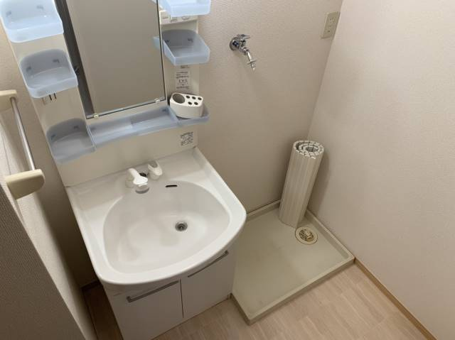 セジュール柳川Ⅱの洗面所
