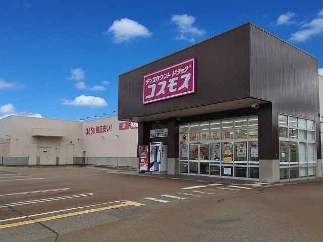 ディア　スマイルの周辺|コスモス　小杉駅店まで290m