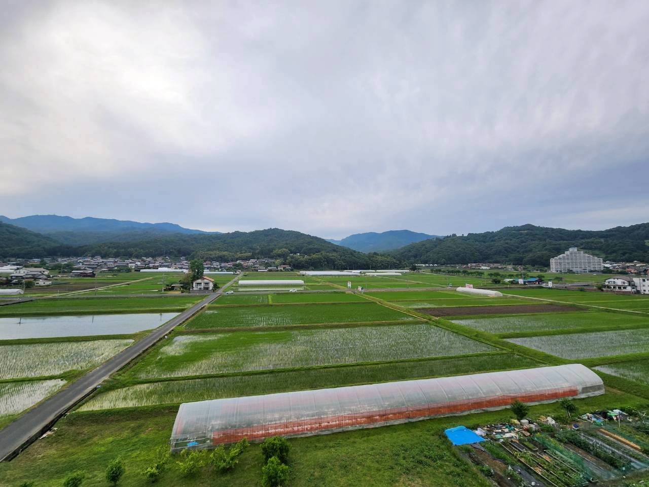 【成約済】マリントピア天橋立7号館の展望|周辺は農地や山林も広がるのどかな風景が楽しめます！
