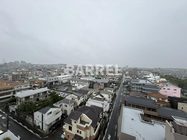 ベルファース緑地公園の展望